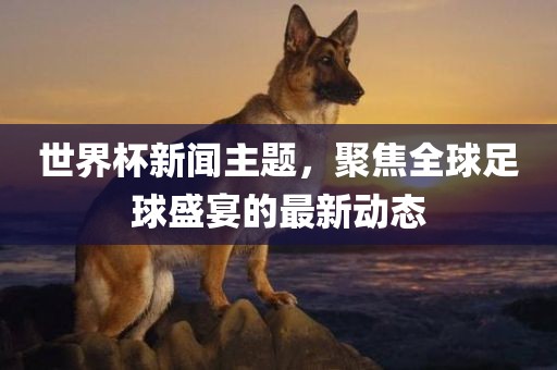 世界杯新闻主题，聚焦全球足球盛宴的最新动态