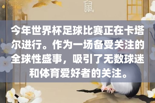 今年世界杯足球比赛正在卡塔尔进行。作为一场备受关注的全球性盛事，吸引了无数球迷和体育爱好者的关注。
