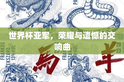 世界杯亚军，荣耀与遗憾的交响曲