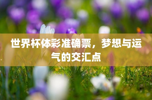 世界杯体彩准确票，梦想与运气的交汇点