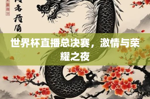 世界杯直播总决赛，激情与荣耀之夜